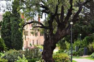 carrick hill 2014 (86)